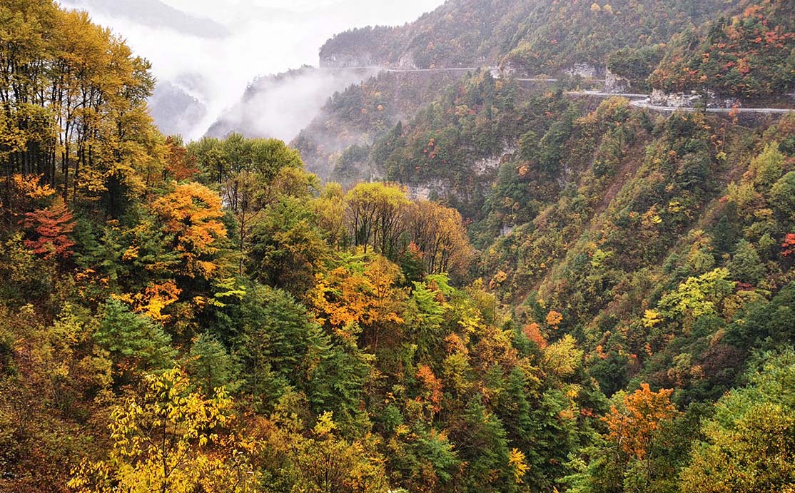 重庆城口县红木牌匾定制：寺庙宗祠,园林景观,创意招牌,抱柱对联