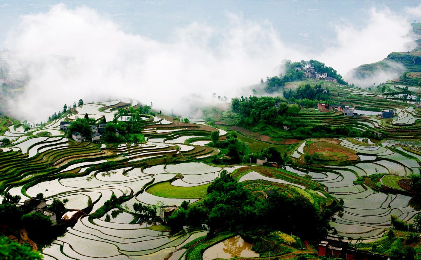 重庆大渡口红木牌匾定制：寺庙宗祠,园林景观,创意招牌,抱柱对联