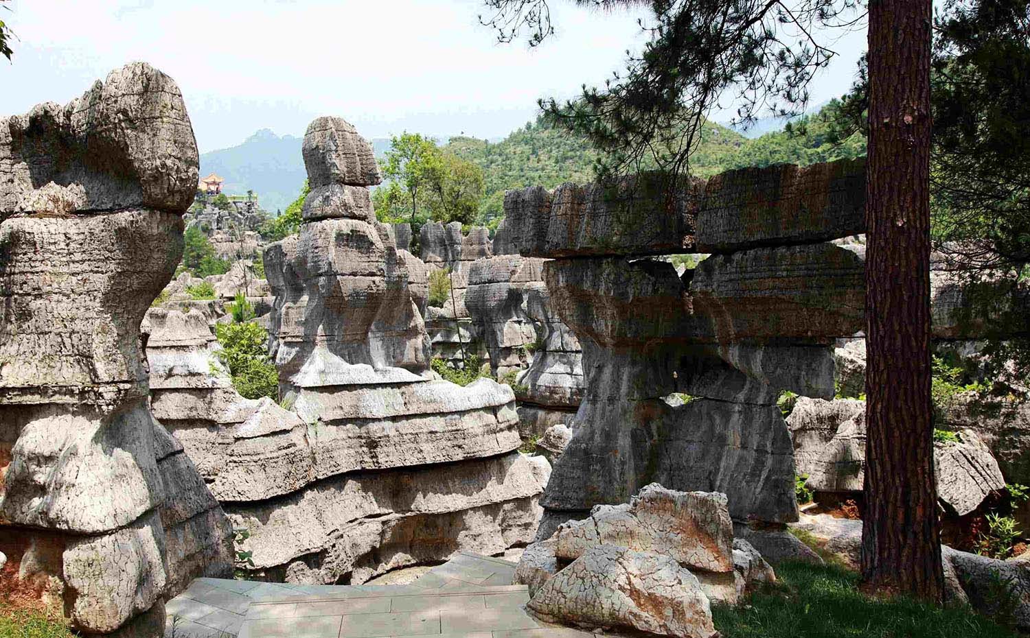 重庆垫江红木牌匾定制：寺庙宗祠,园林景观,创意招牌,抱柱对联